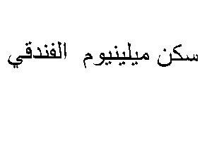 MILLENNIUM EXECUTIVE RESIDENCES