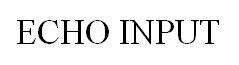 ECHO INPUT