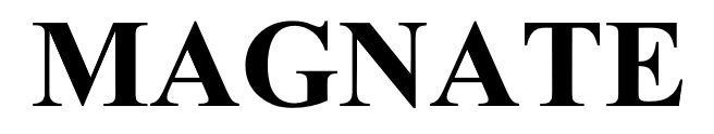 MAGNATE