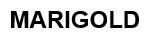 MARIGOLD