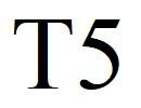 T5