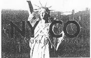 NY & CO