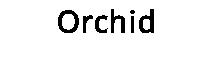Orchid