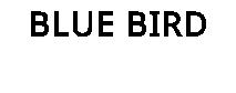 BLUE BIRD