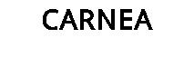 CARNEA