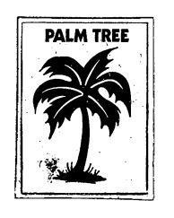 PALM TREE
