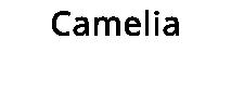 Camelia