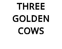 THREE GOLDEN COWS