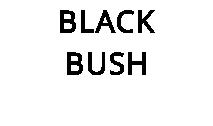 BLACK BUSH