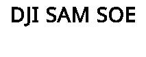 DJI SAM SOE
