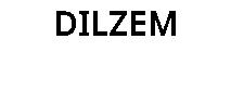 DILZEM