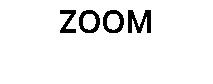 ZOOM