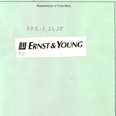 ERNST & YOUNG