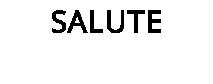 SALUTE