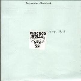 CHICAGO BULLS