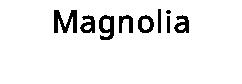 Magnolia