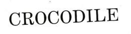 CROCODILE