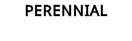 PERENNIAL