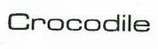 Crocodile