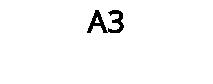 A3