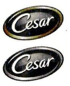 CESAR