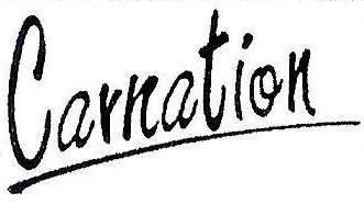 CARNATION