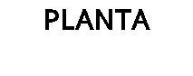PLANTA