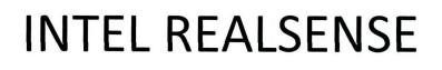 INTEL REALSENSE