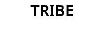 TRIBE