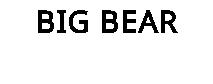 BIG BEAR