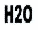 H20