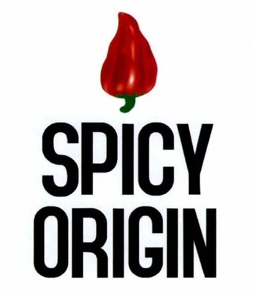 SPICY ORIGIN & DEVICE