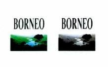 BORNEO
