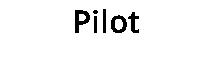 Pilot
