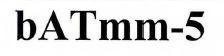 BATMM-5