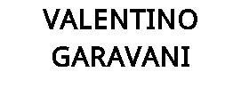 VALENTINO GARAVANI