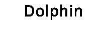 Dolphin