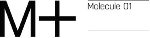 M+ Molecule 01