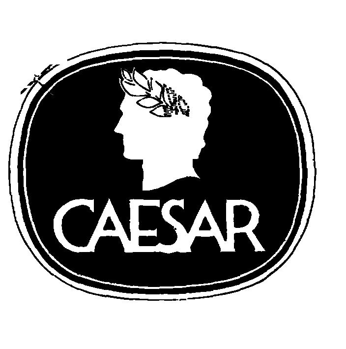CAESAR