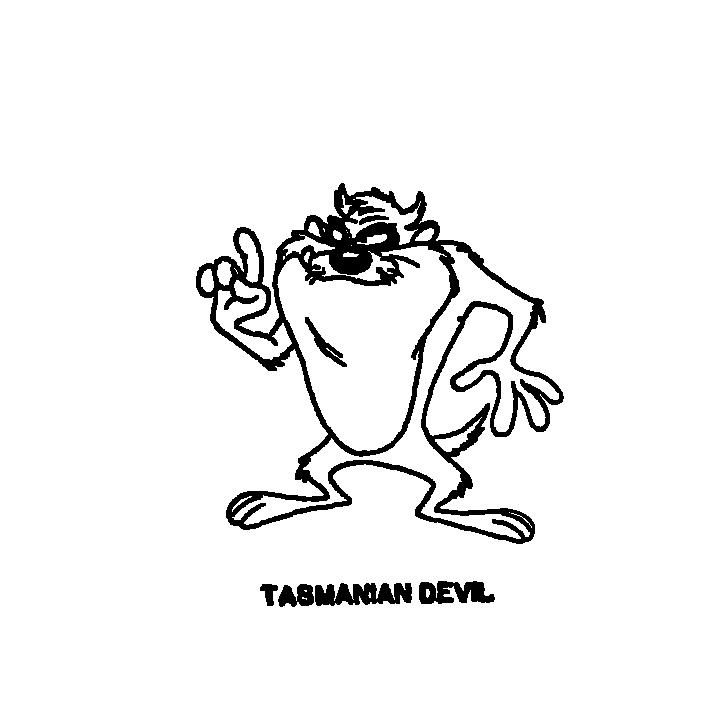 TASMANIAN DEVIL