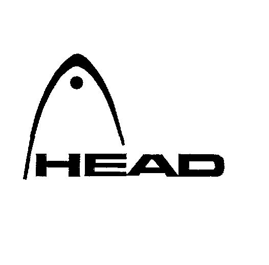 HEAD