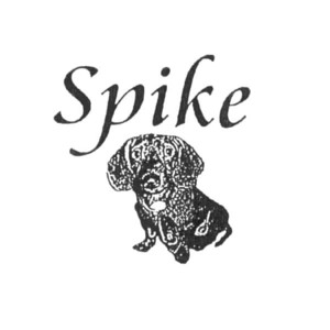 SPIKE
