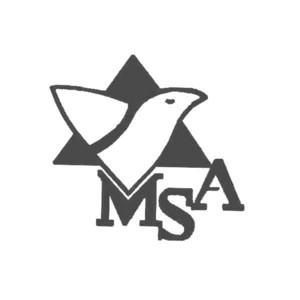 MSA