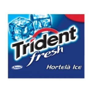 TRIDENT FRESH HORTELÃ ICE ADAMS