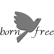 BORN FREE