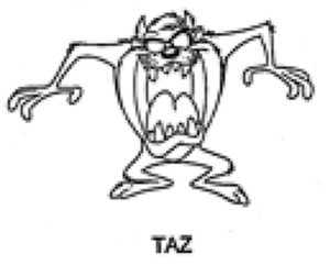 TAZ