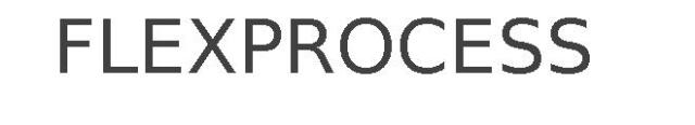 FLEXPROCESS