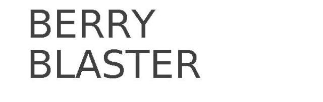 BERRY BLASTER