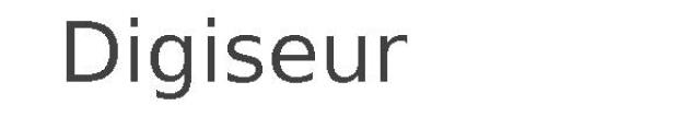 Digiseur