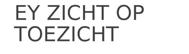 EY ZICHT OP TOEZICHT